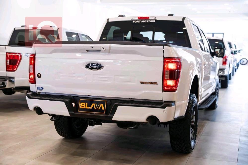 فۆرد F-150